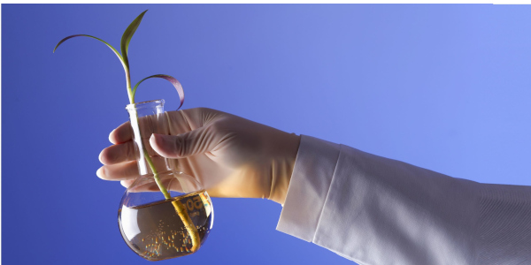 GdT semFYC &ndash; Bio&eacute;tica